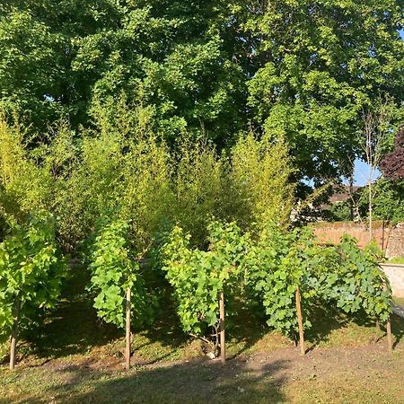 לינה וארוחת בוקר סנליס Pierres Et Jardins מראה חיצוני תמונה
