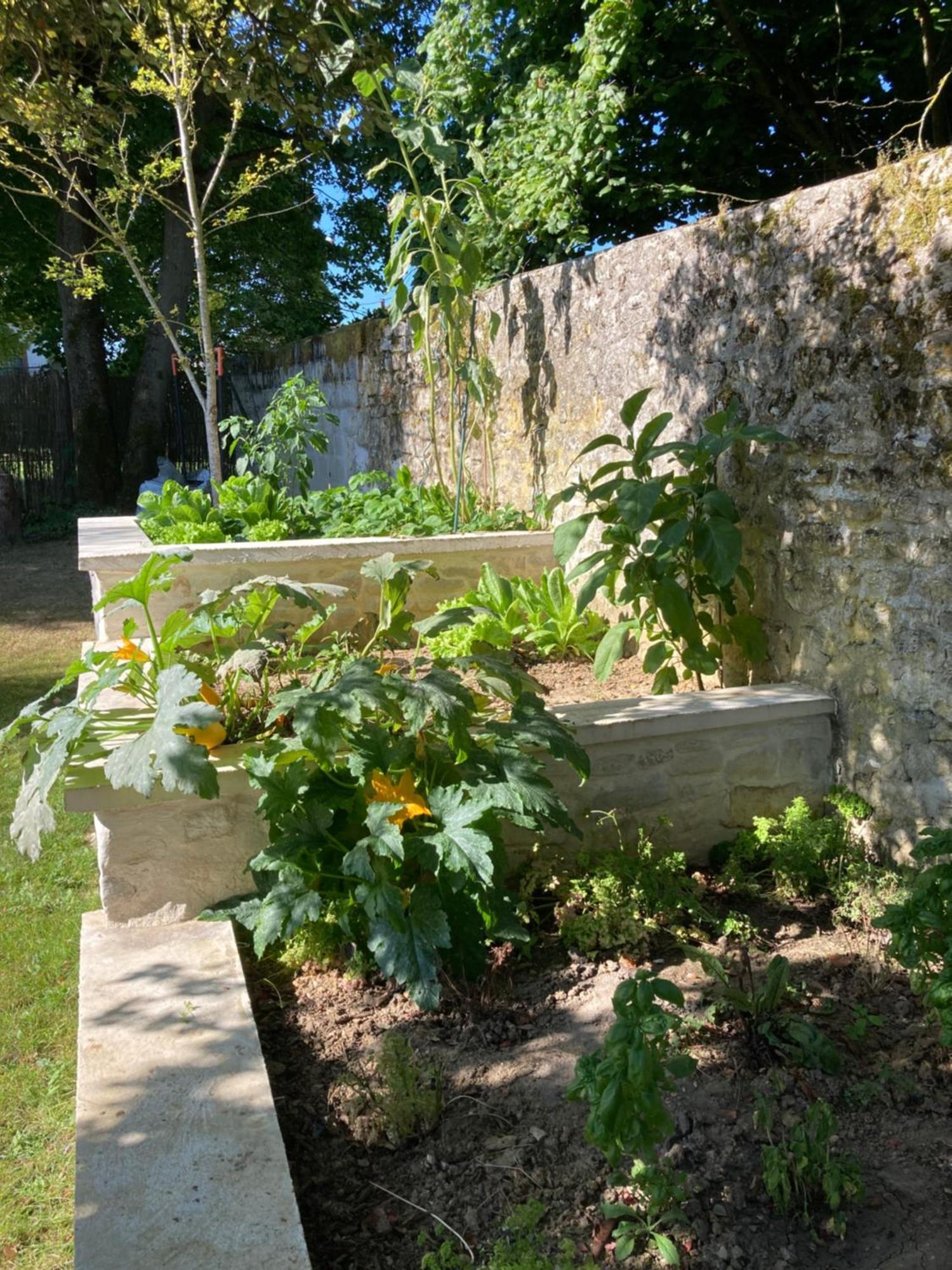 לינה וארוחת בוקר סנליס Pierres Et Jardins מראה חיצוני תמונה